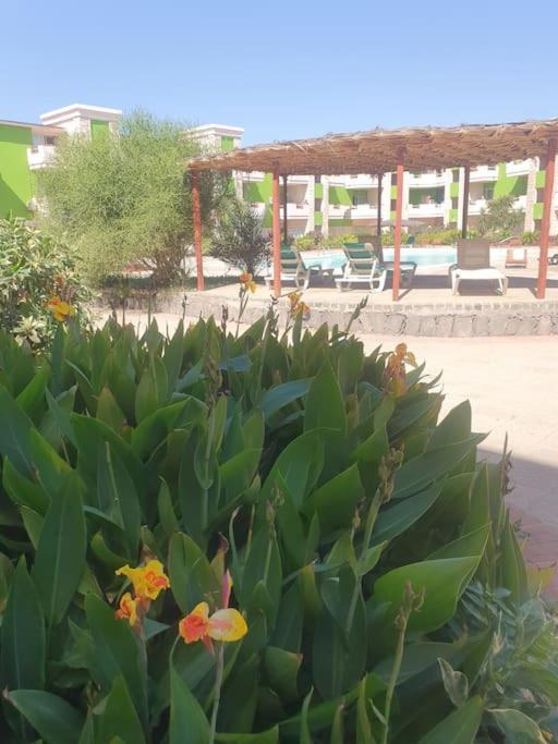 סנטה מריה Holiday Properties Moradias Green מראה חיצוני תמונה