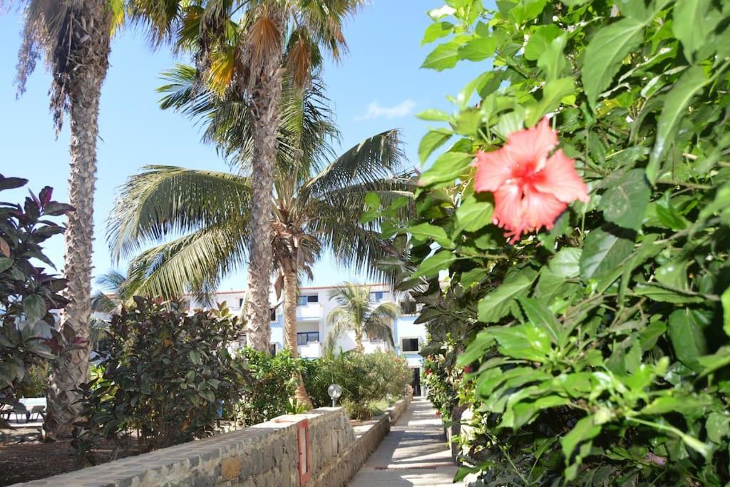 סנטה מריה Holiday Properties Moradias Green מראה חיצוני תמונה